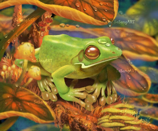 The frog that hates water